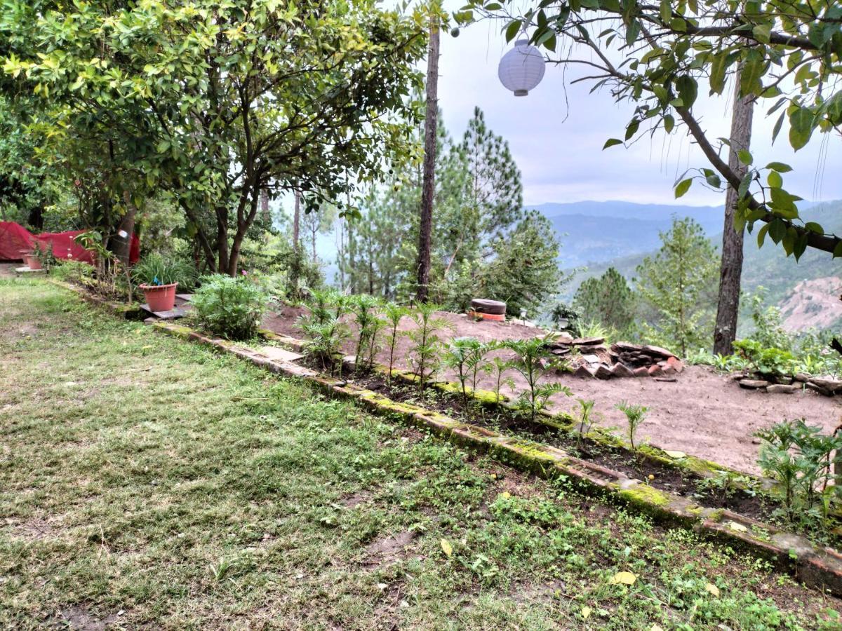Hotel Le Jardin Almora Esterno foto